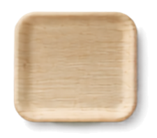 10" Square Plate